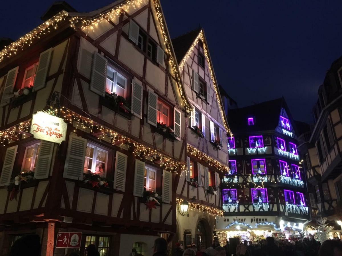 Beaux lofts près d'Europa Park et Strasbourg Villa Obenheim Esterno foto