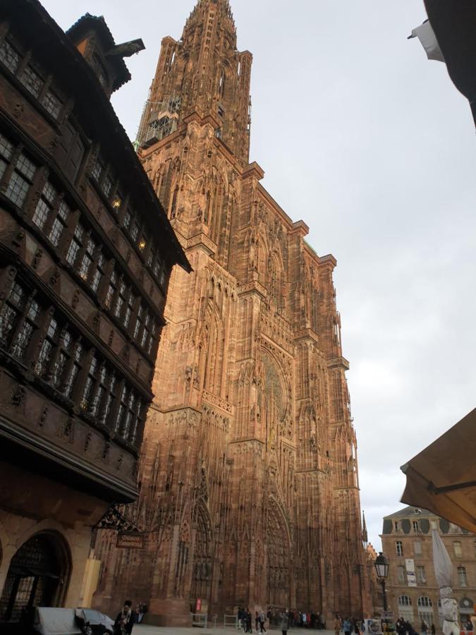 Beaux lofts près d'Europa Park et Strasbourg Villa Obenheim Esterno foto